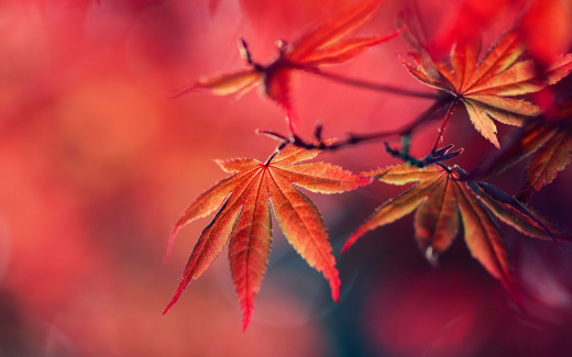 974959 (a): :1920x1200